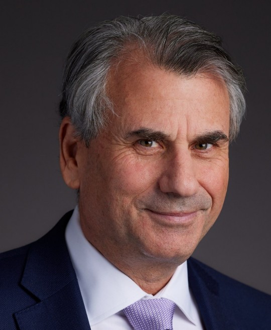 Louis Levinson, President, Wholesale Commercial Insurance (North America)  & Chief Executive Officer, Insurance Company (Lexington) at American International Group